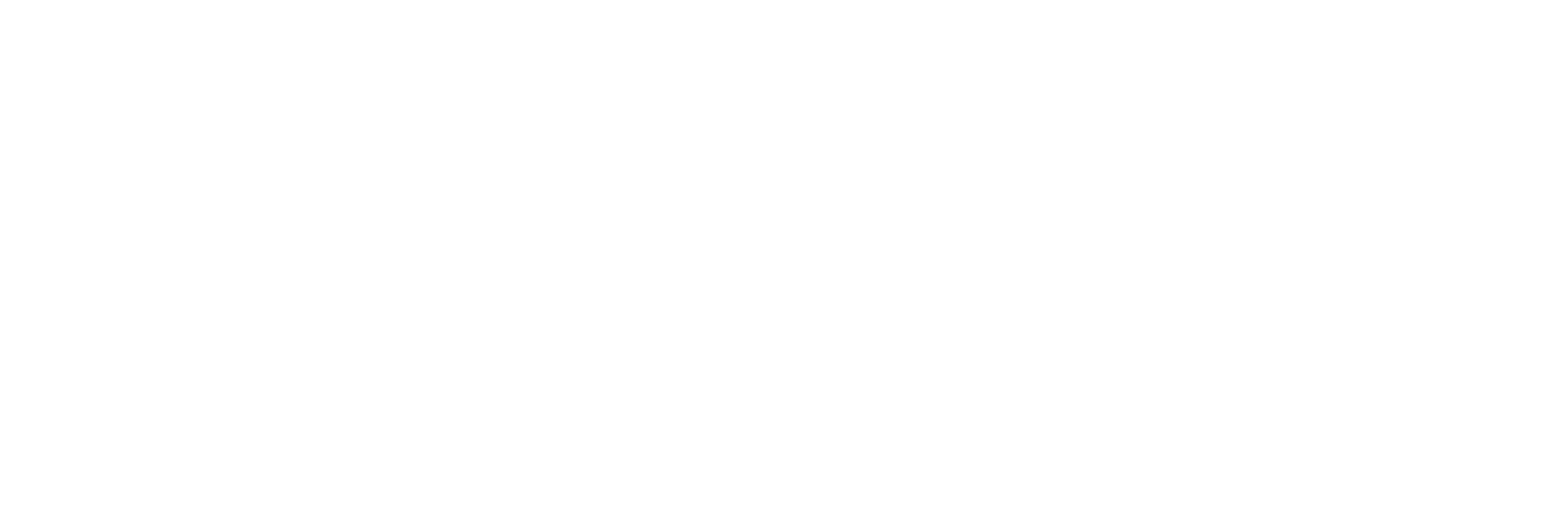 Ivoniz — website design and development